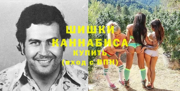 спайс Бородино