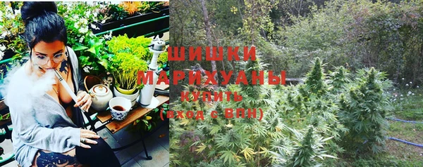 спайс Бородино