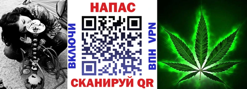 Купить где  Губкин  Бошки Шишки MAZAR 